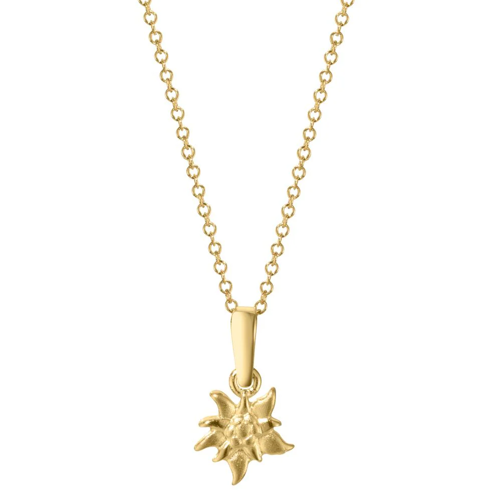 Image du produit 15